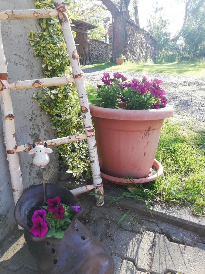 Anna - Neue Ferienwohnung Mit Blick Ins Gruene Ober-Abtsteinach Extérieur photo